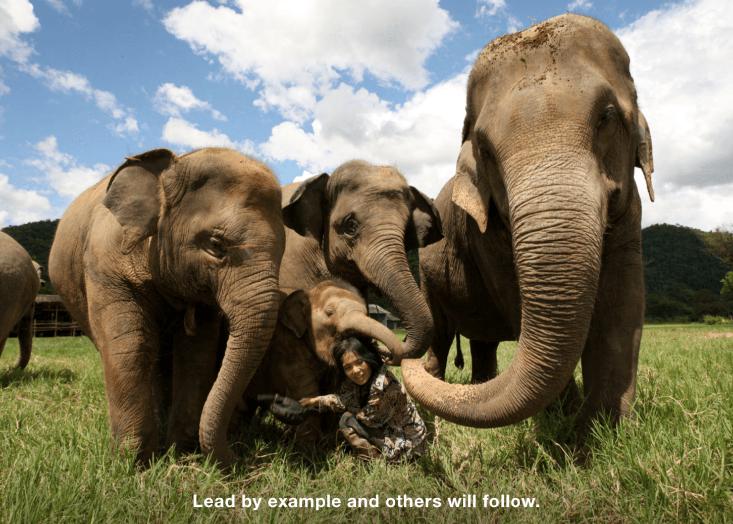 WendysBDayFundraiser