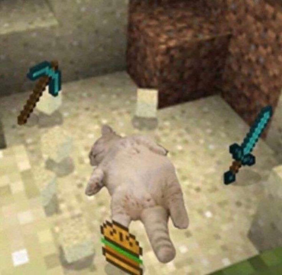 DoughsPCDied