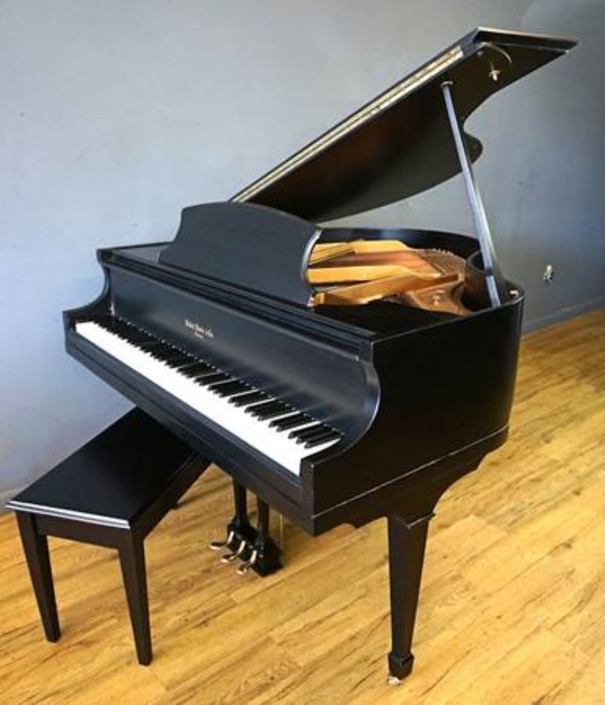 PleaseHelpMeBuyThisPiano