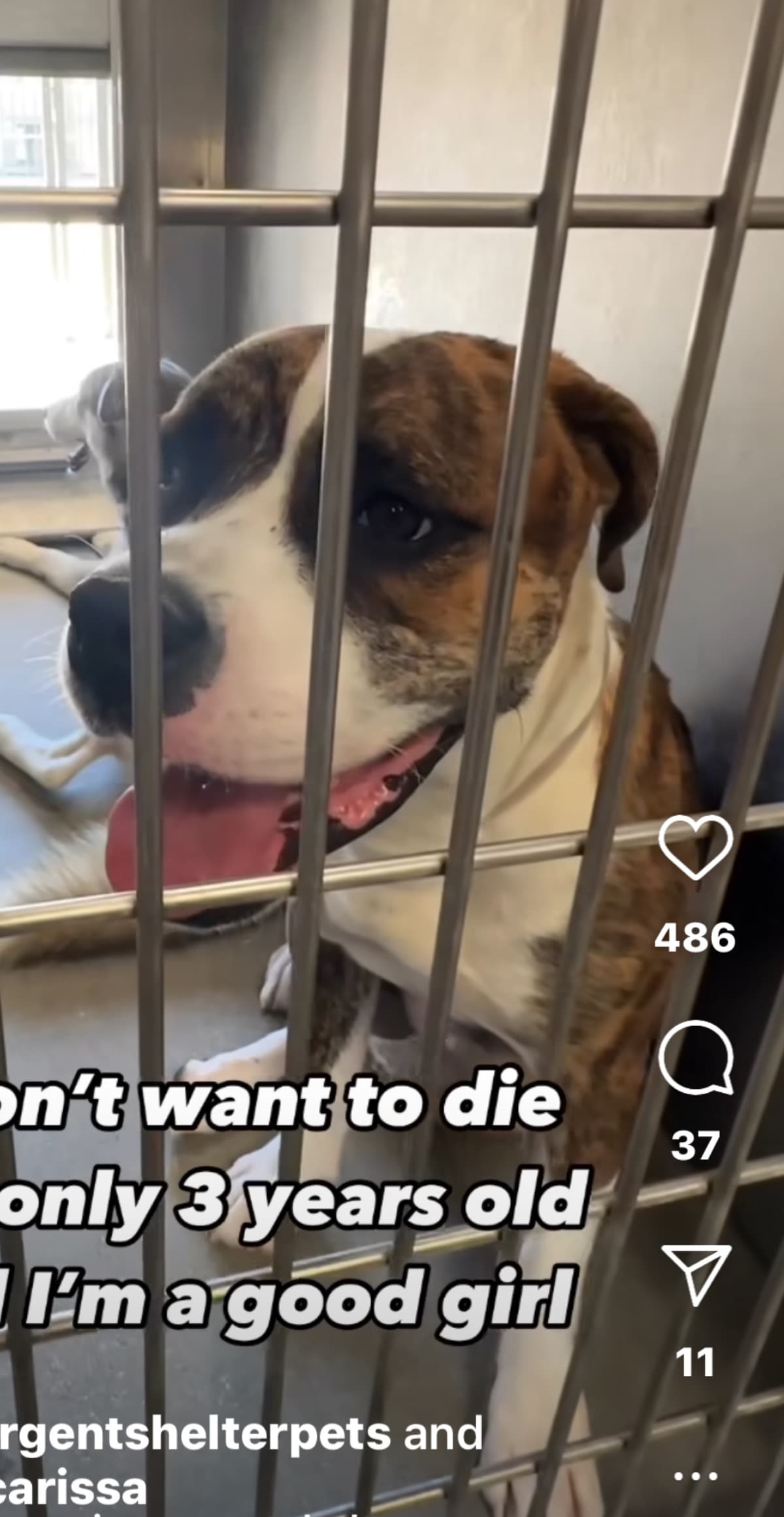 HelpSelmaGetTrNsportationToM