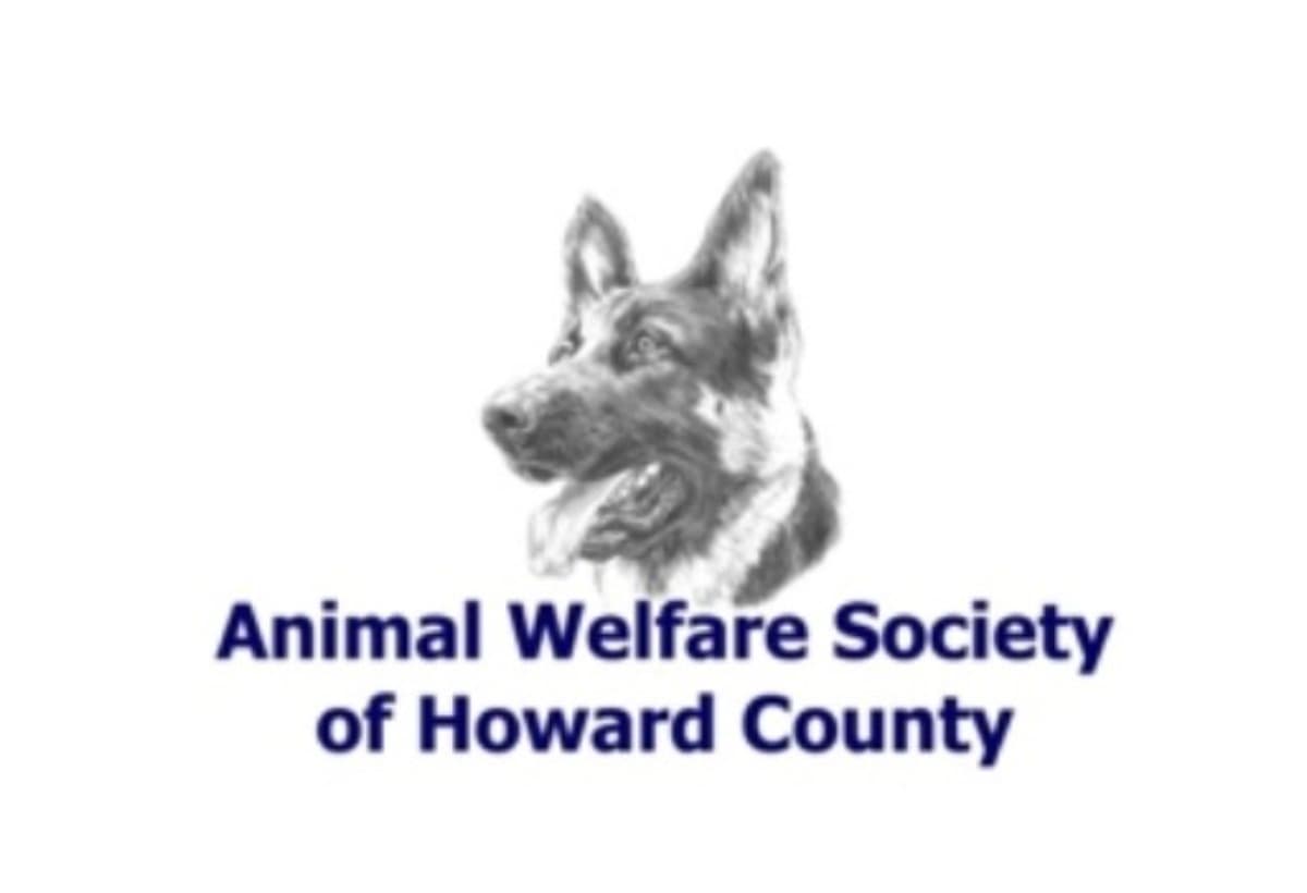 AnimalRescueRebuild