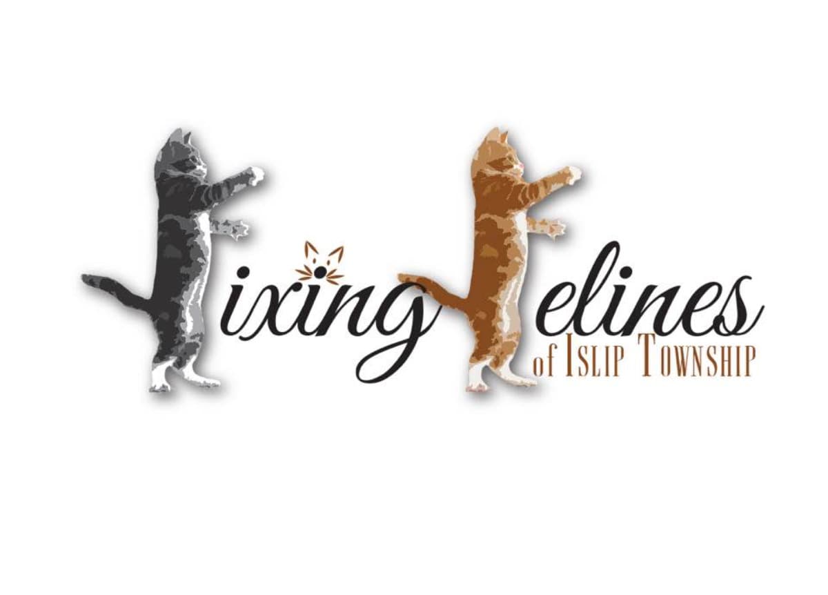 MobileSpayNeuterService