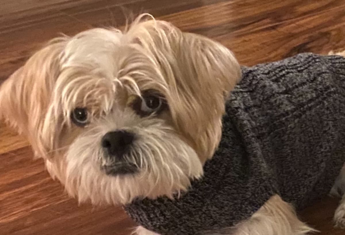 HelpBlueWithSurgeryExpenses