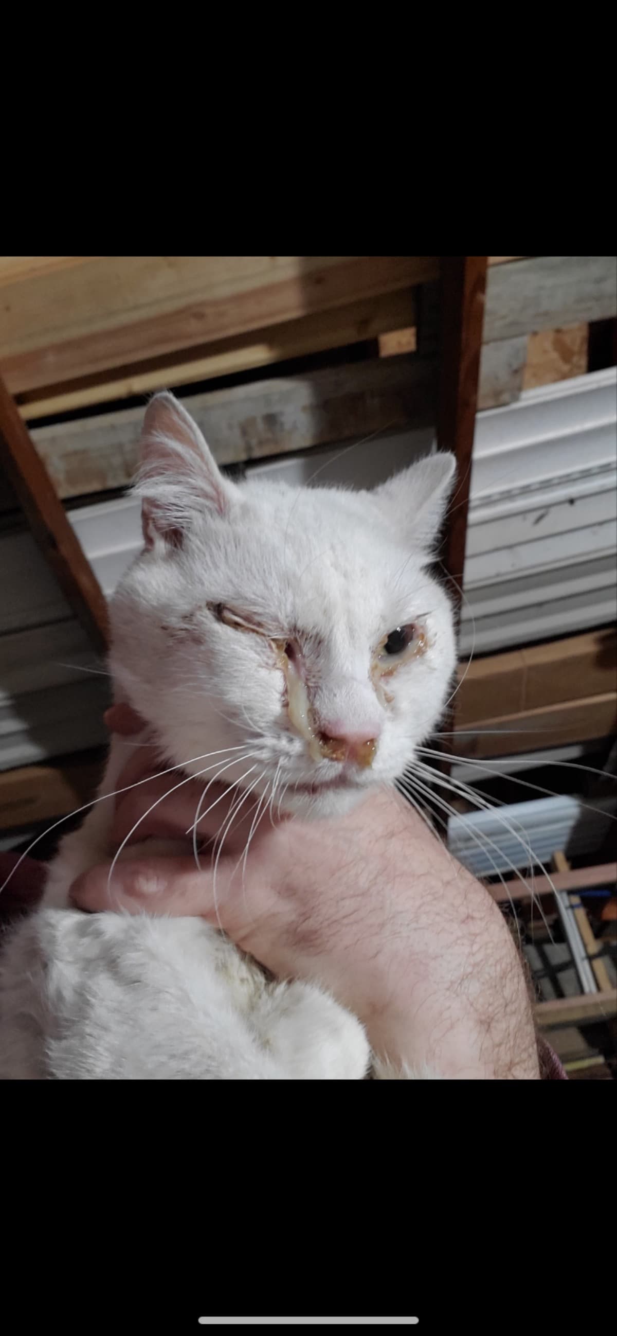 RaisingMoneyForVetExpenses