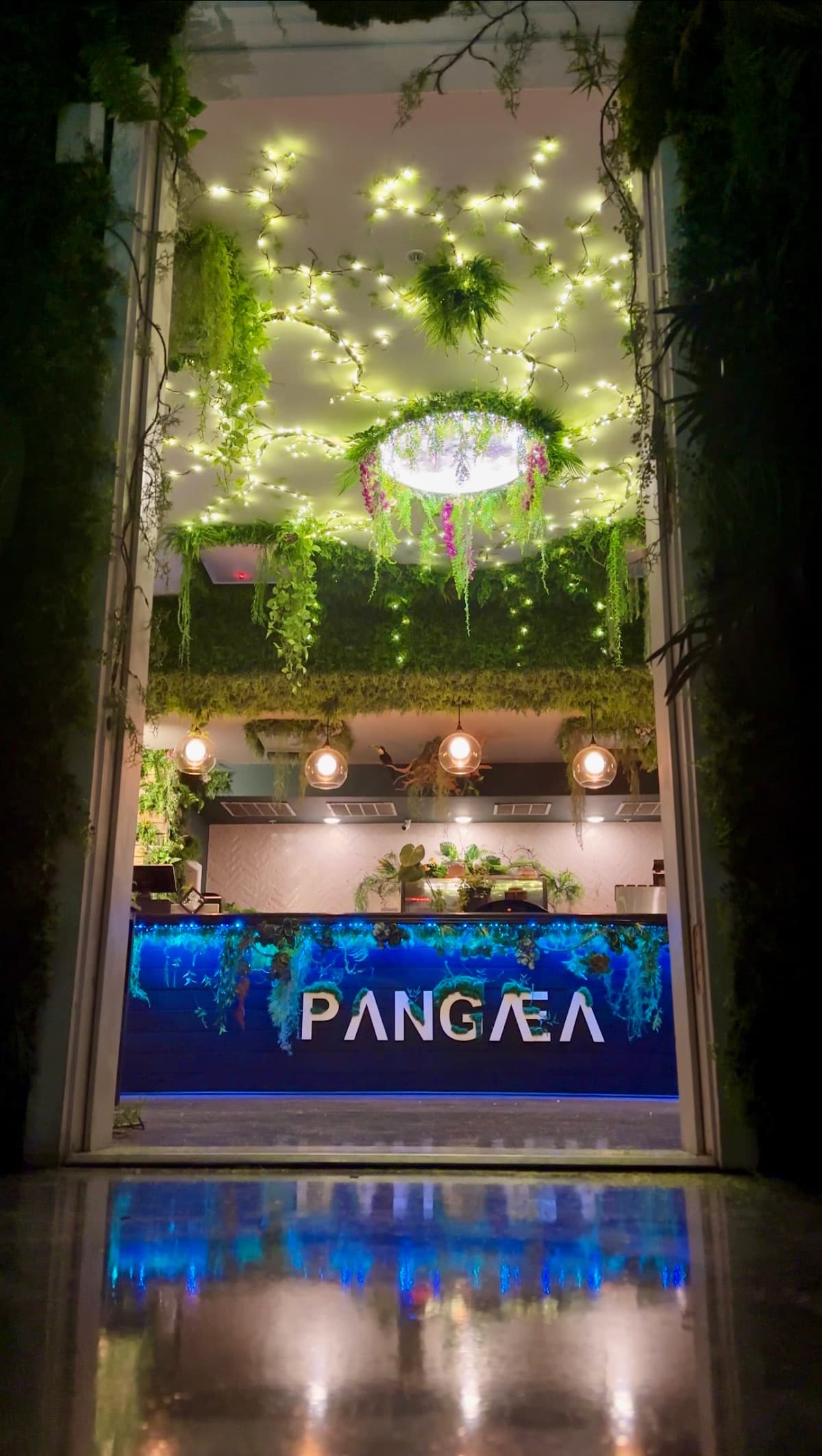 ThePangaeaJourney