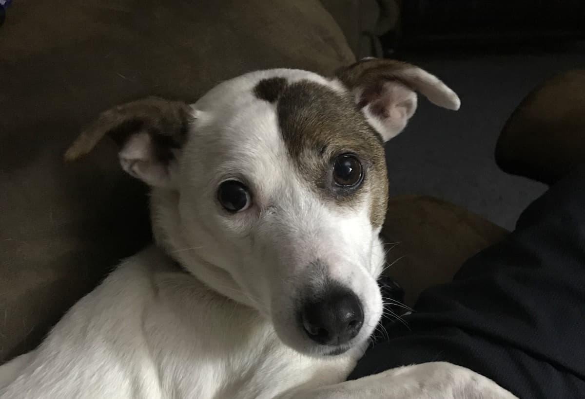 MentalHealthForMeAndMyFamily