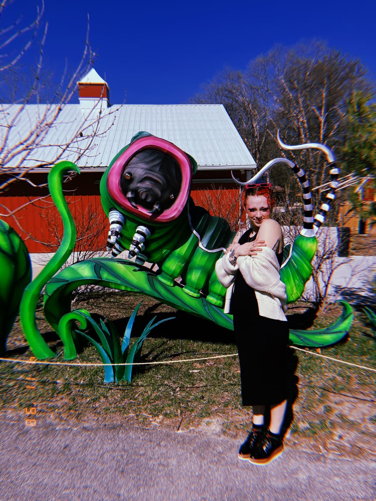 DentalSurgeryForDollie