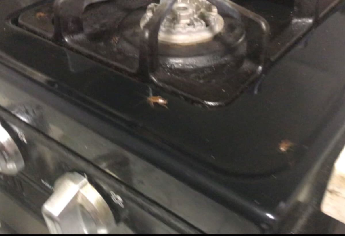 AnyoneWantToShareBreastmilk