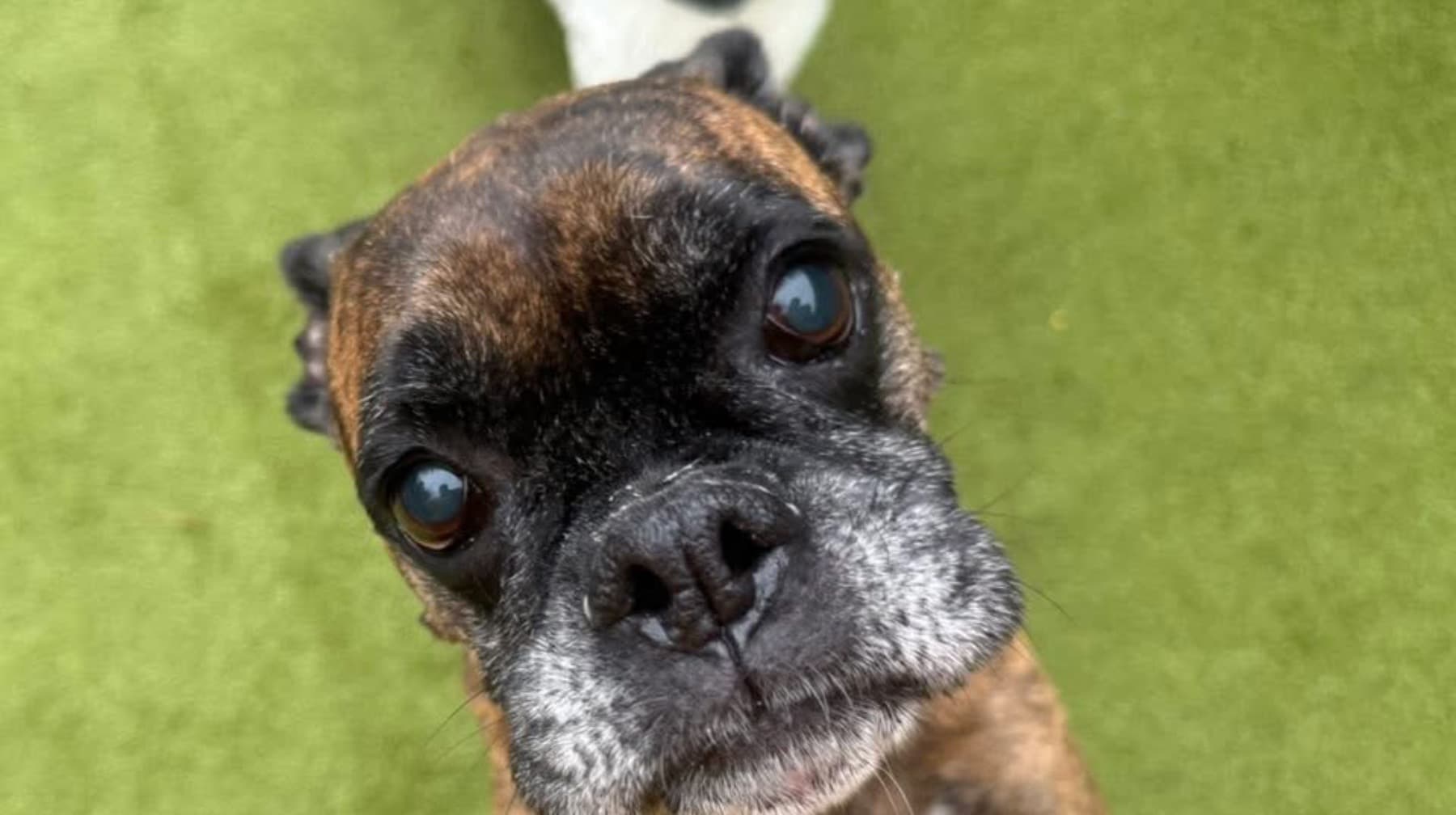 RubysMedicalProcedure