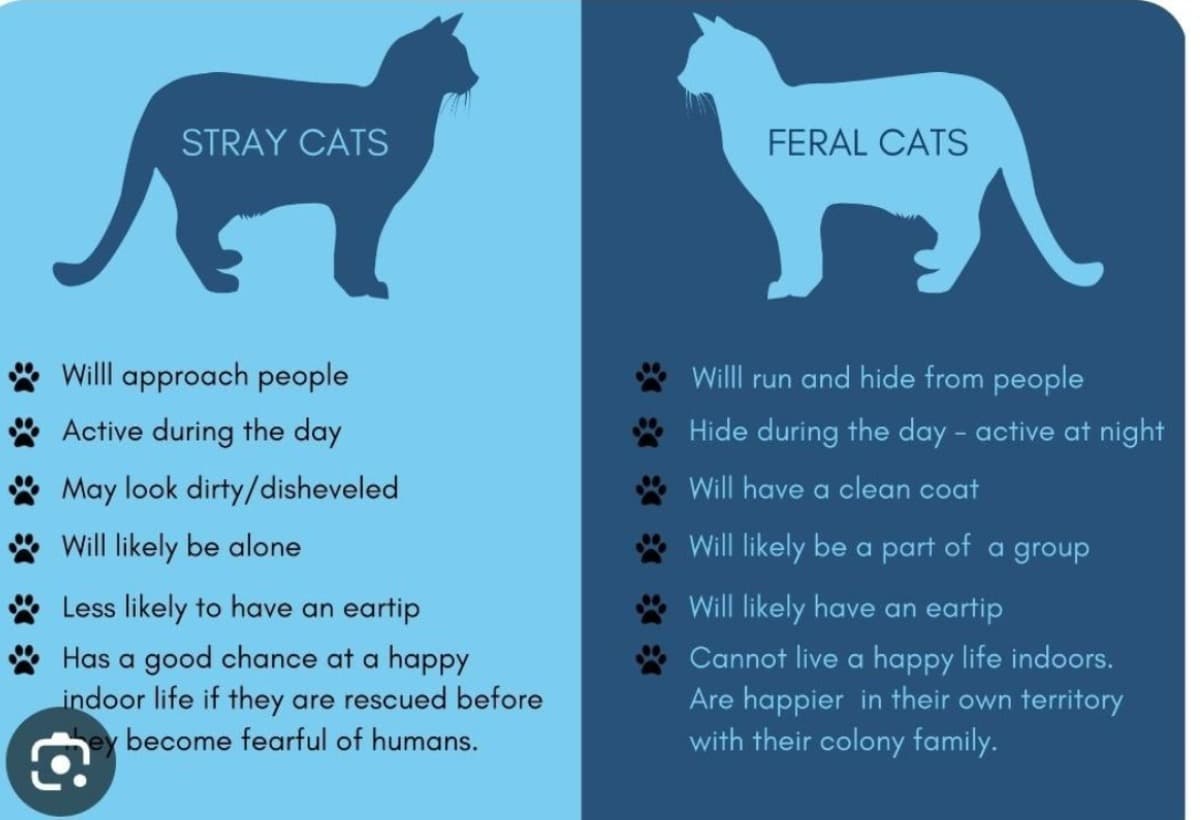 FeralFoodPantryStartUp