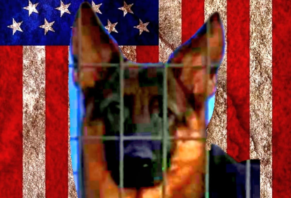 BringEnochHomeToHisNewPapa