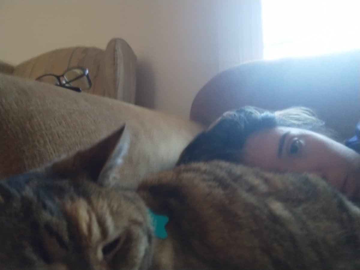 FeedMyCatAndMassageMyBack