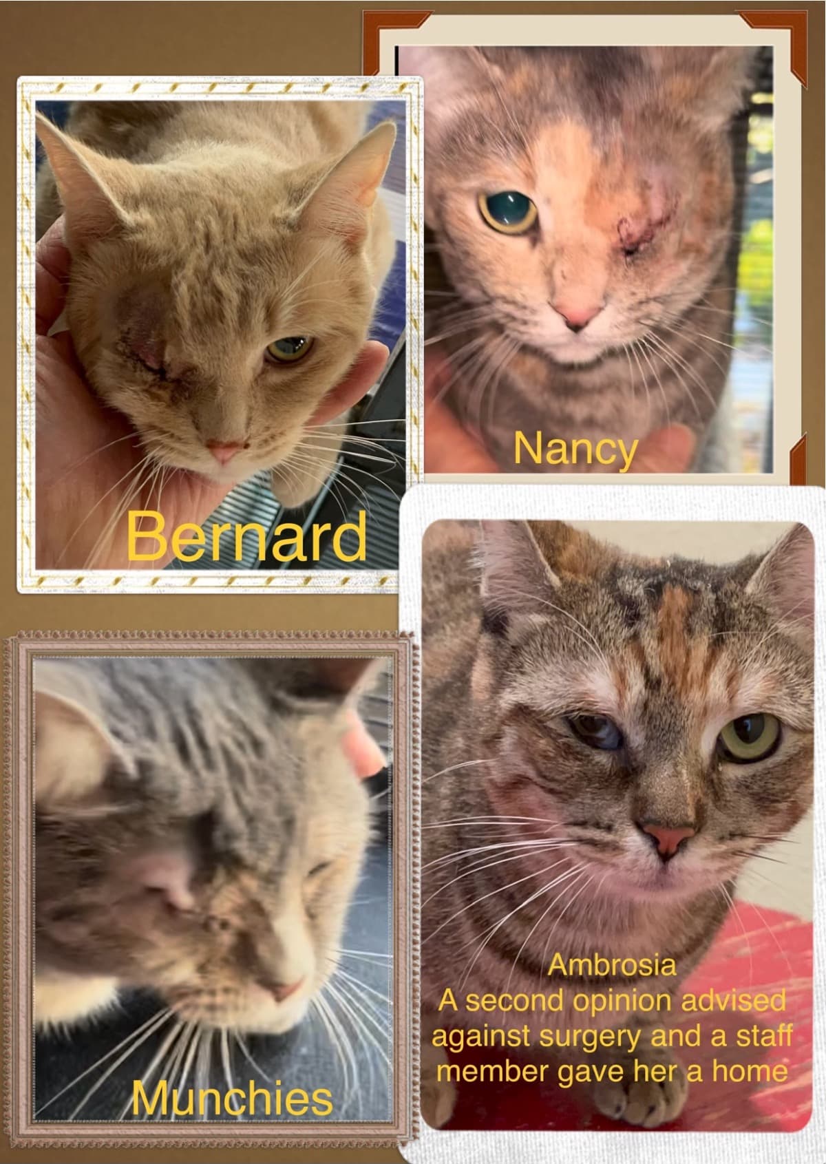 AGoodDeedTurnedIntoABi