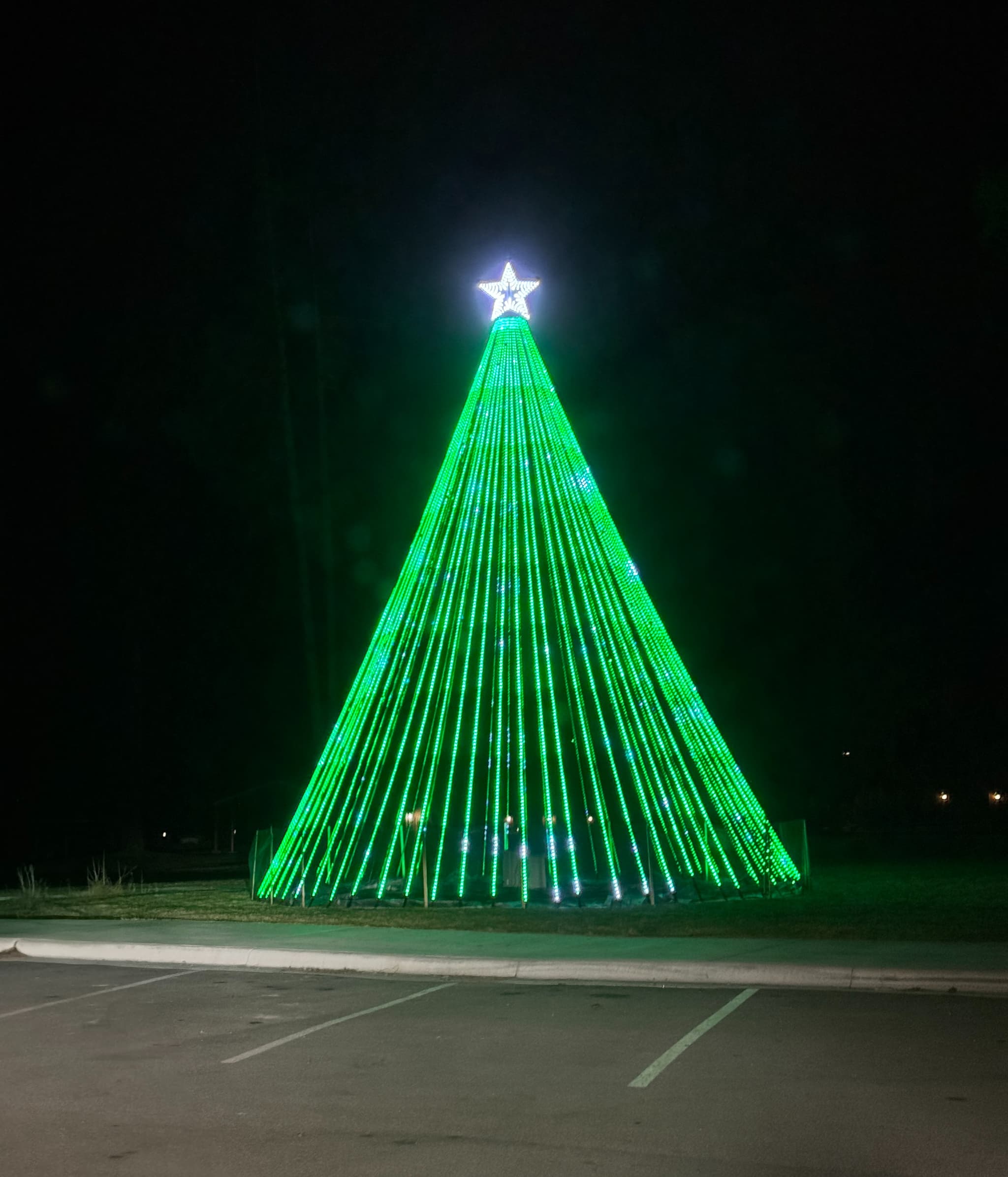 LakesideChristmasTree