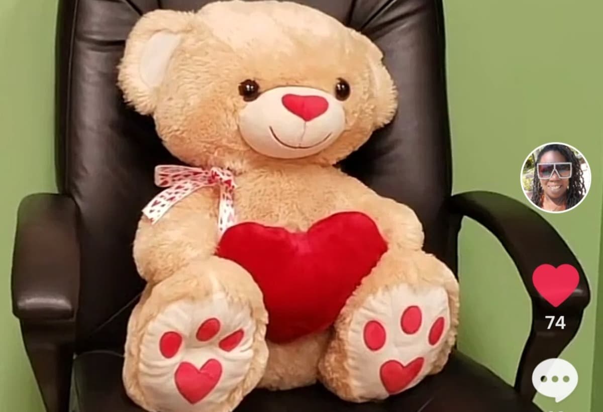 ClassroomTeddyBearDrive