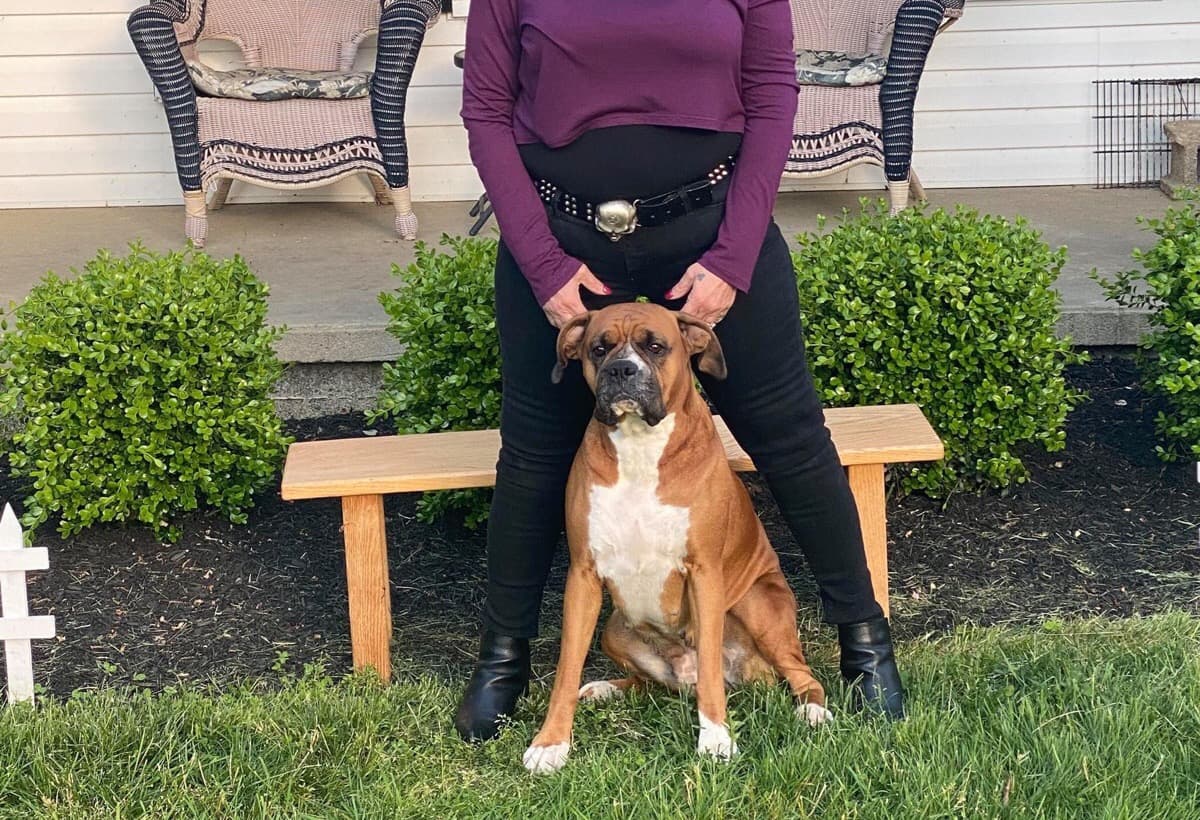 CaseyBugOur4YearOldBoxer