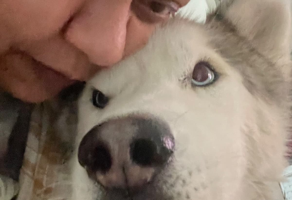 HelpLashelleContinueToFightR