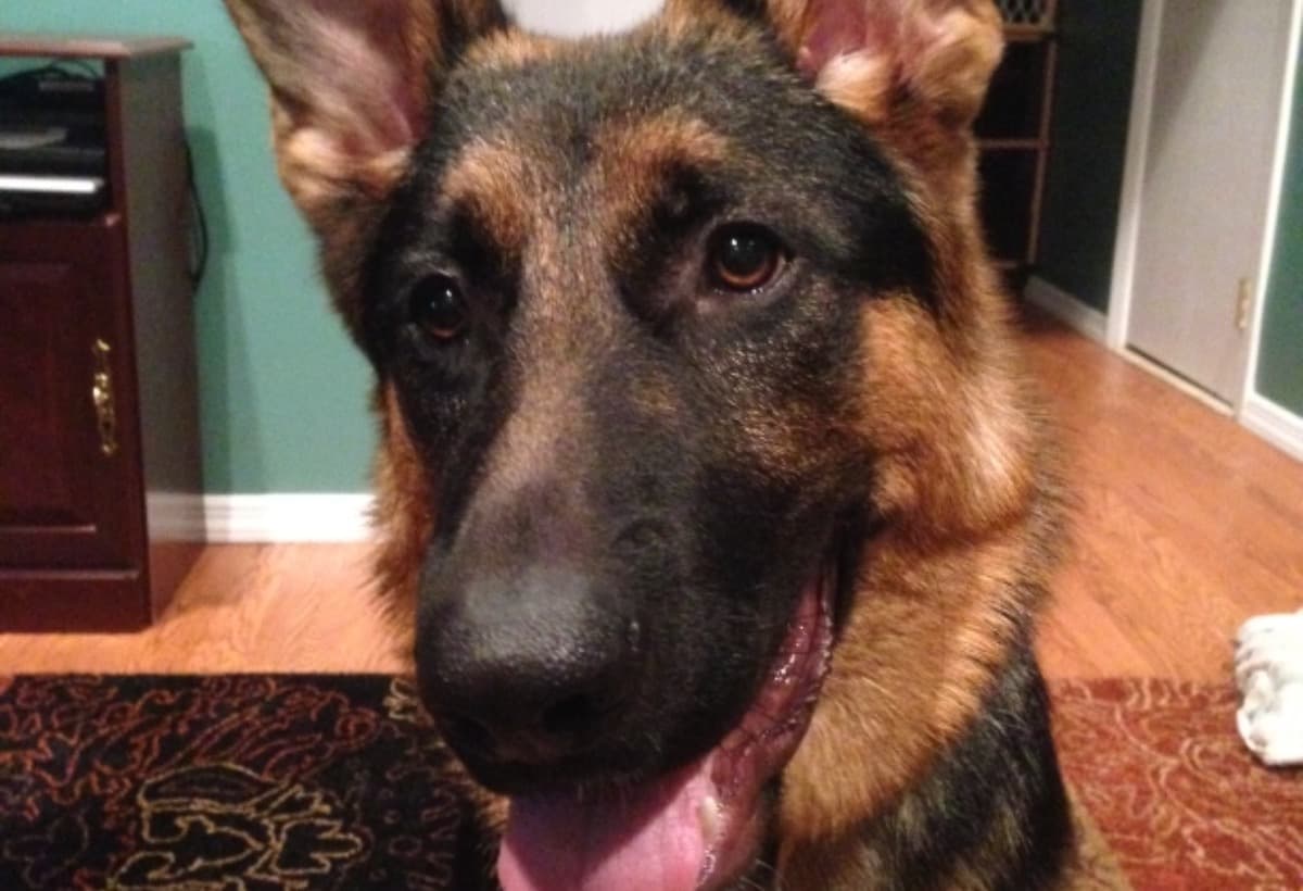 HelpRalphToWalkAgain