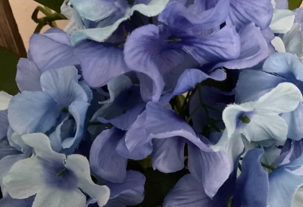 NeedALittleHelpingHand