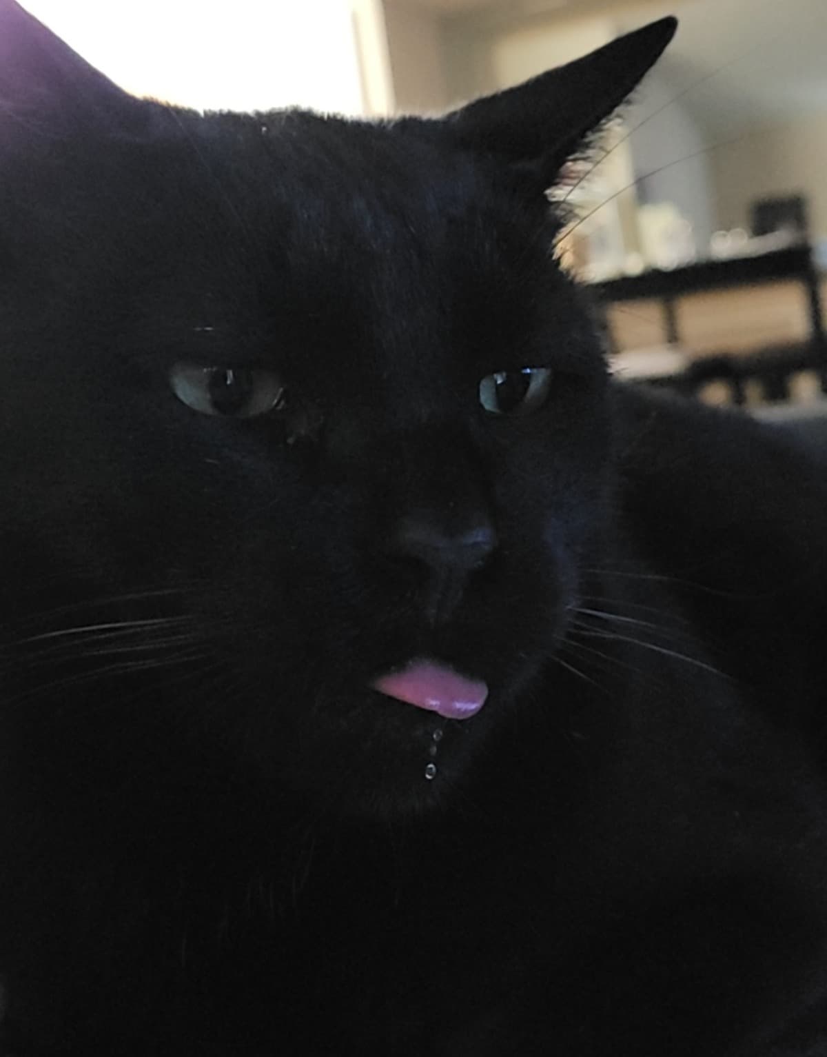 DentalProcedureForGus