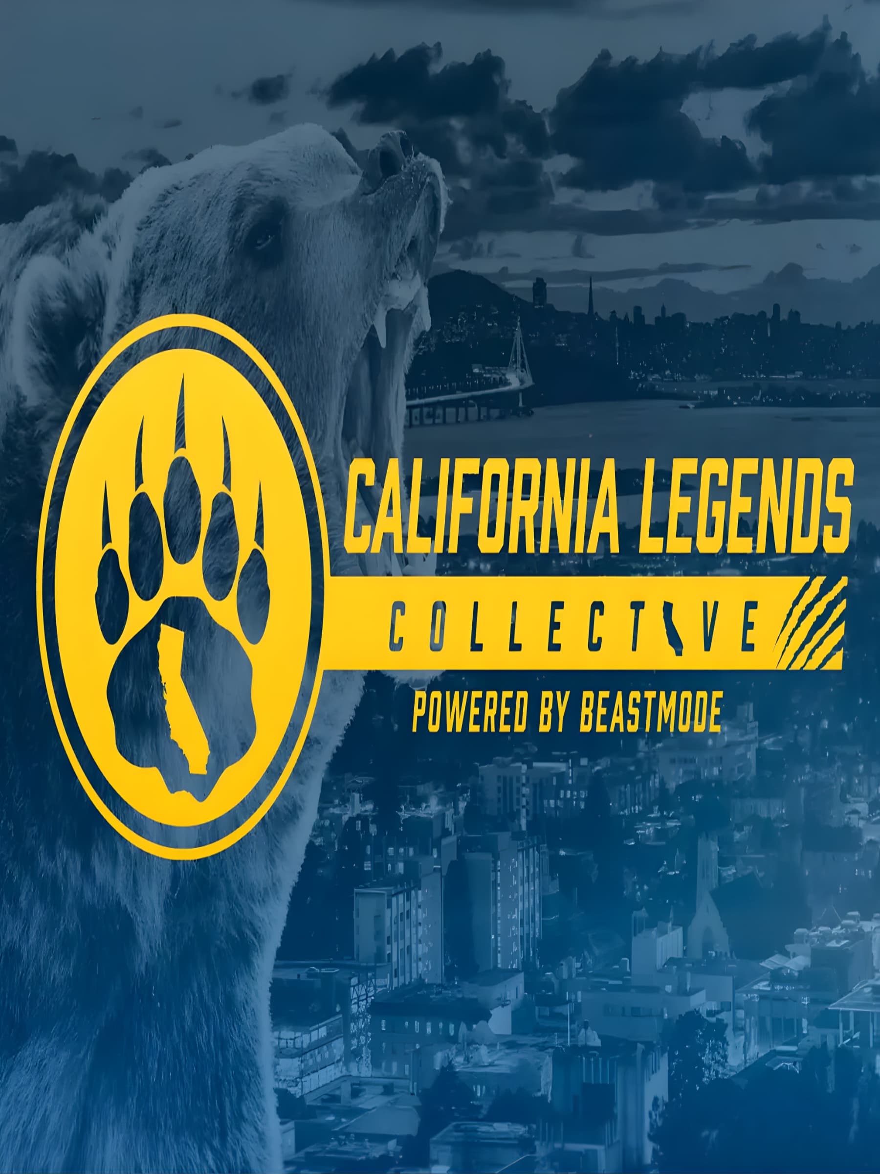 GameDayMatchCampaign