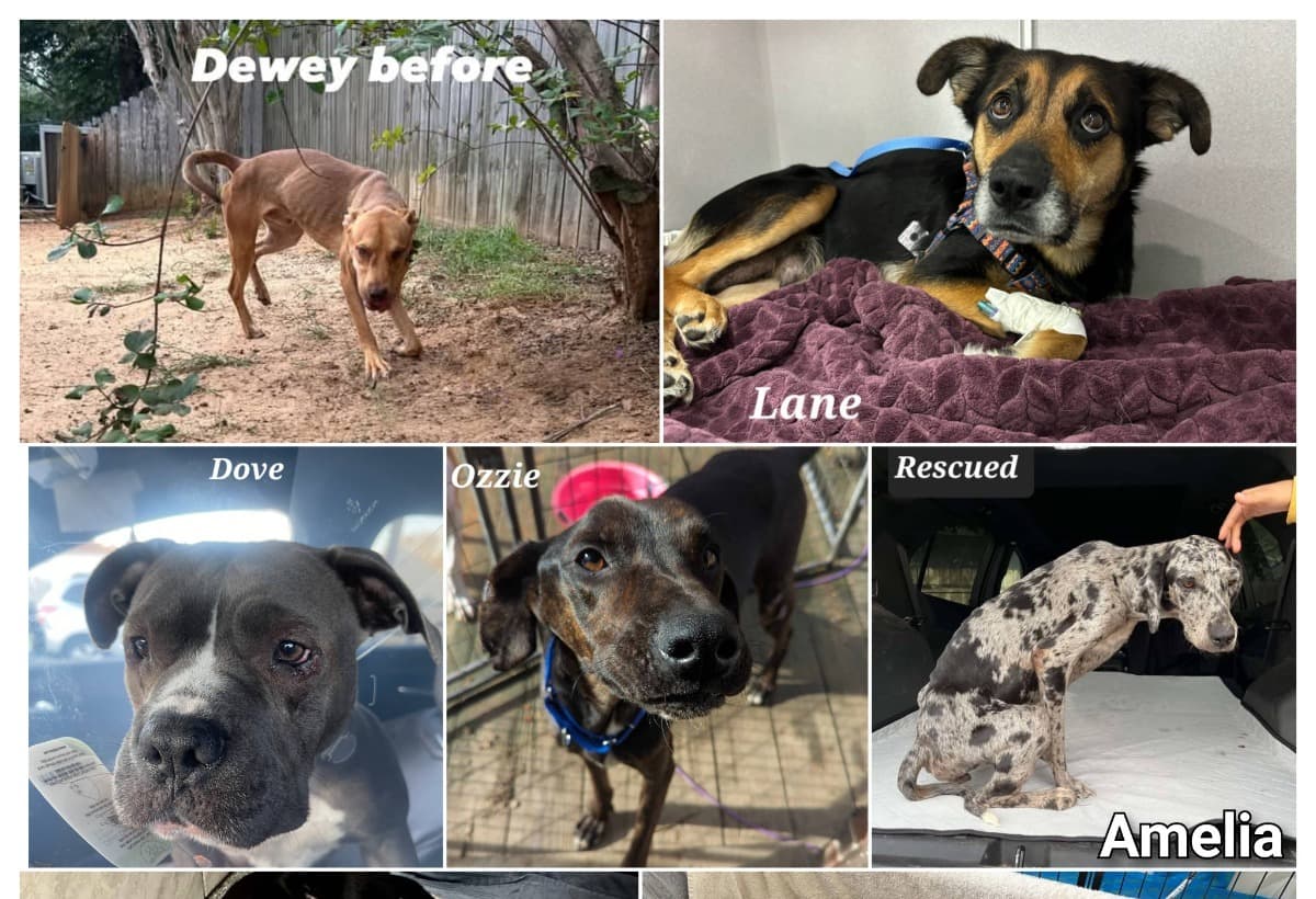 HelpUsReopenOurMedicalIntake