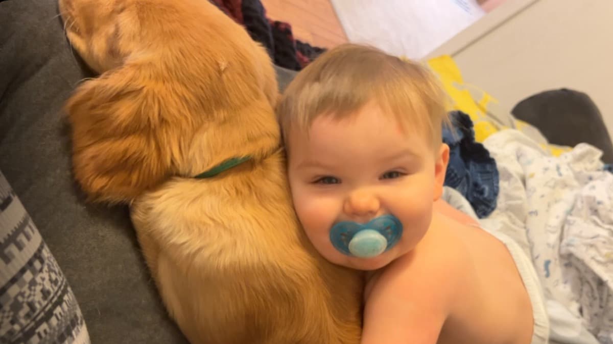 GreysonsDiabeticAlertDog