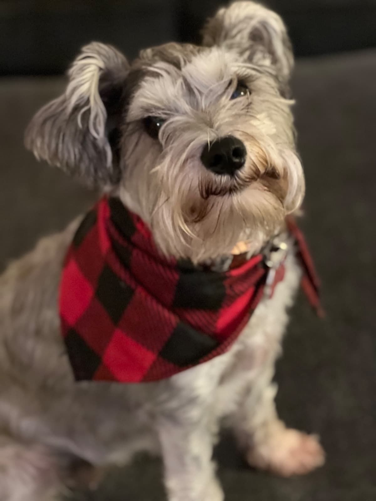 Molly