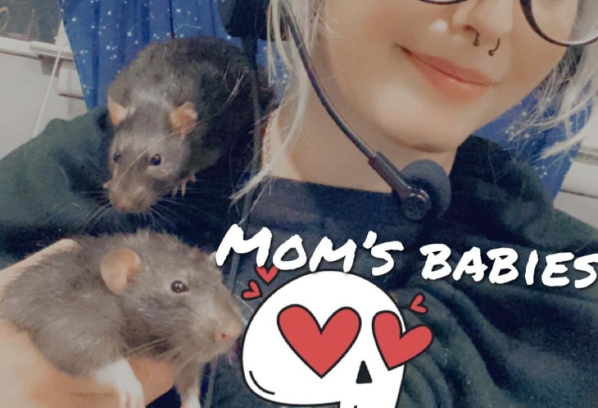 DexterAndRudyNeuteringFund