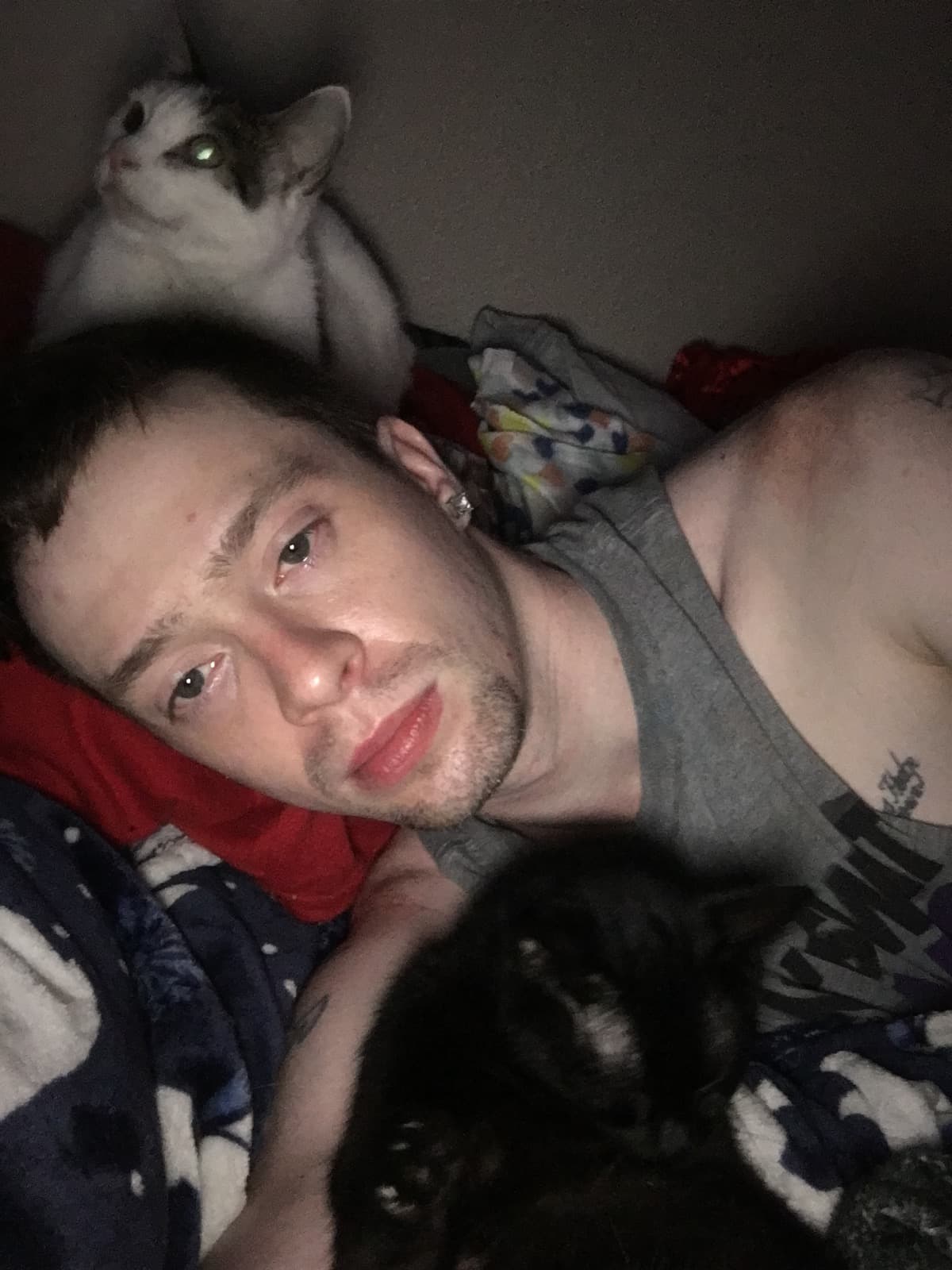 RentForMeAndMyKittens