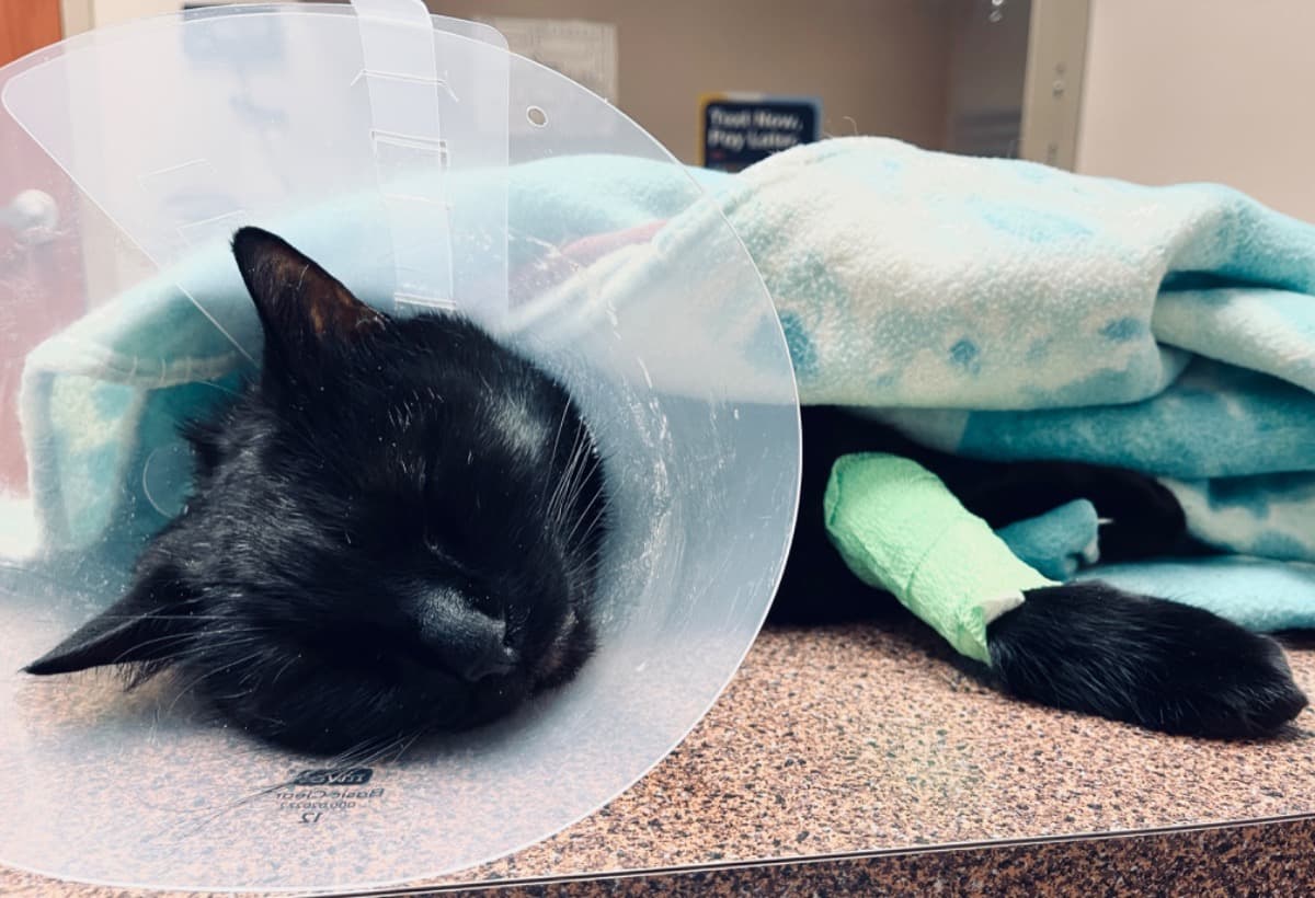 KybersRoadToRecovery