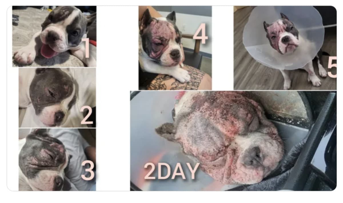 PLEASEHELPSAVEMYFRIENDSBABY
