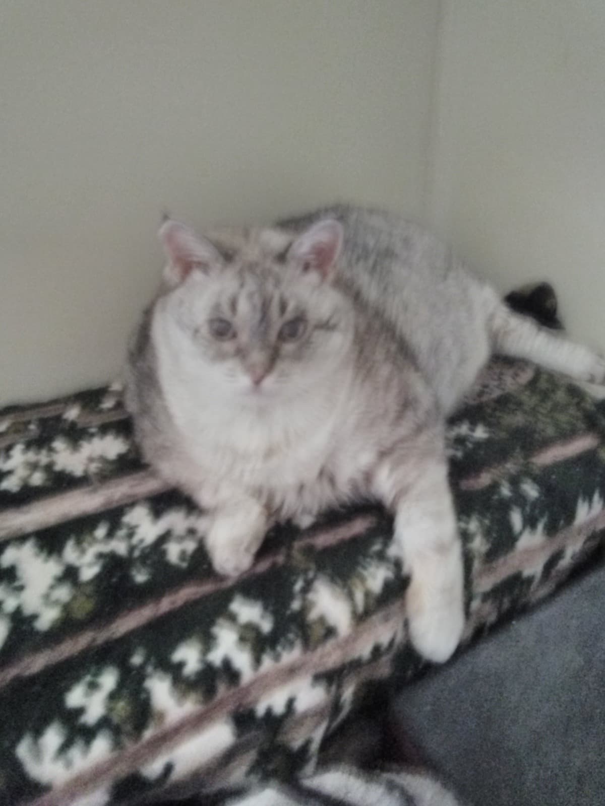 PleaseHelpMyLittleGirl