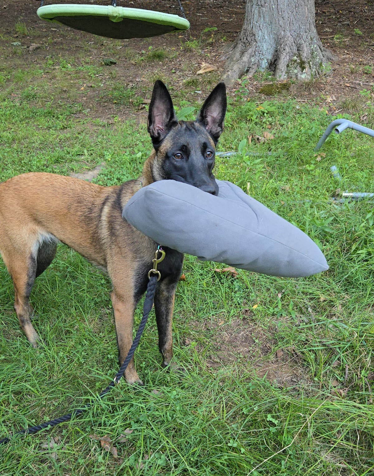 DharmaFenceFundraiser