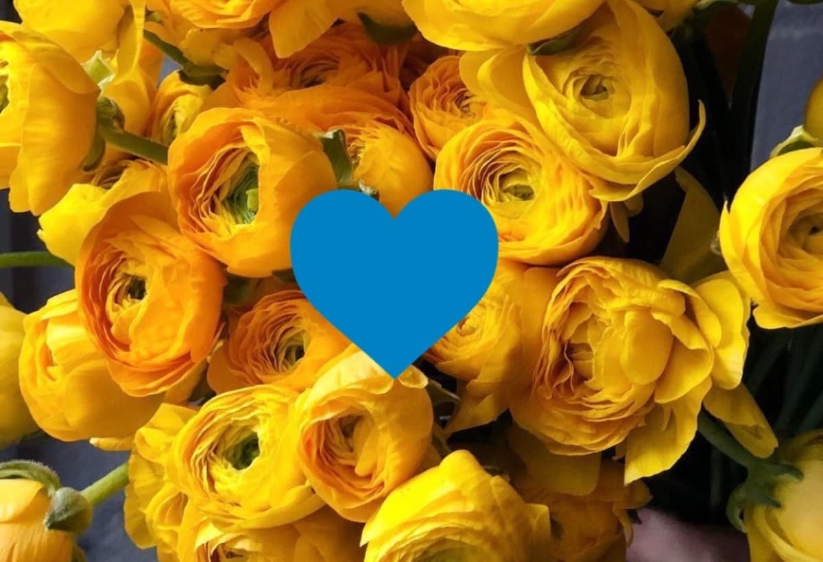 HelpMyUkrainianFamily