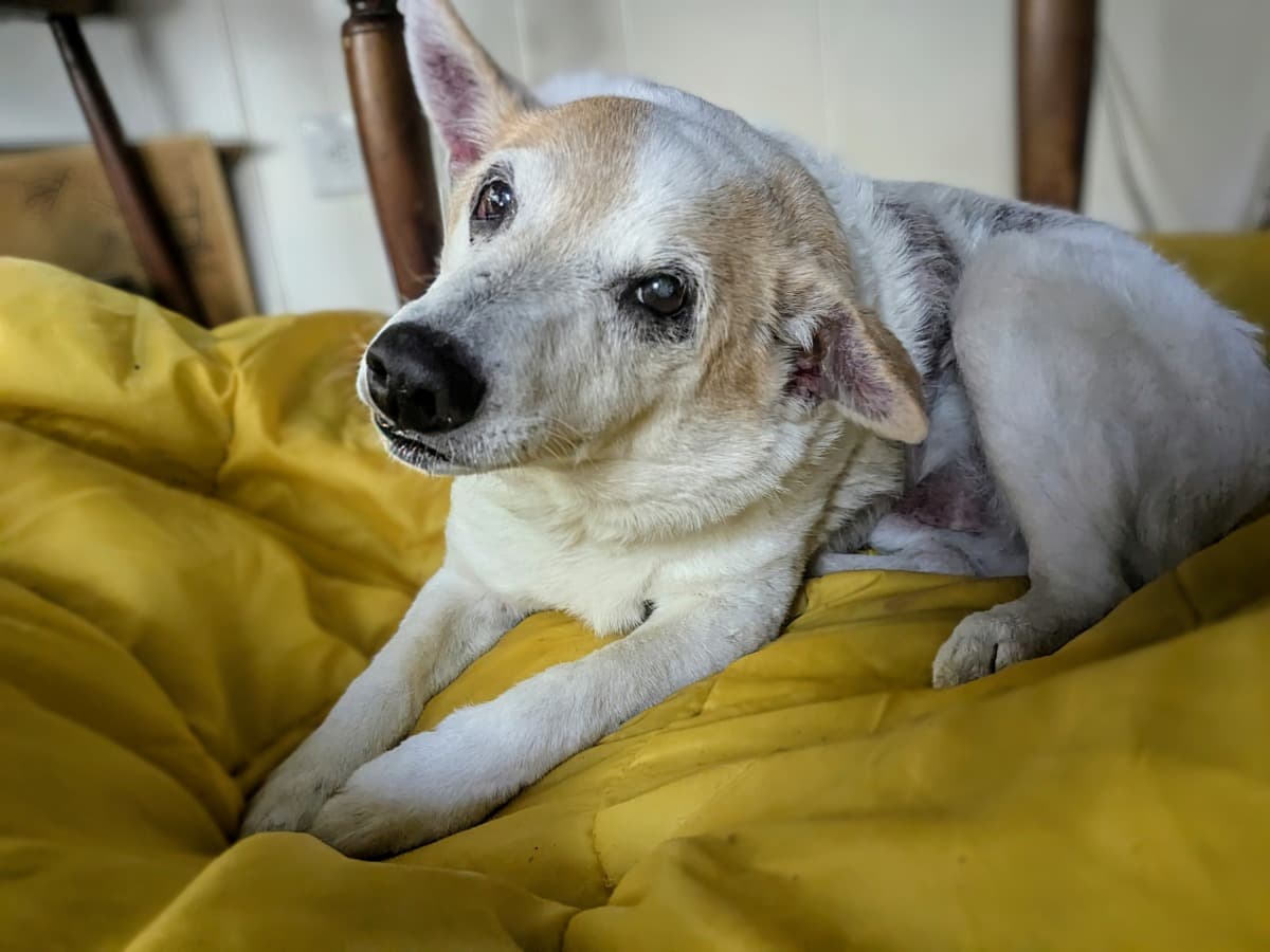 PalliativeCareForEnoch