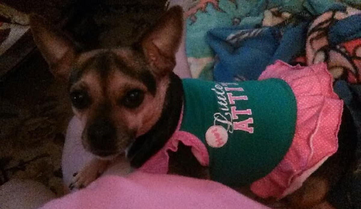 SeniorWidowEvictedwithMolly