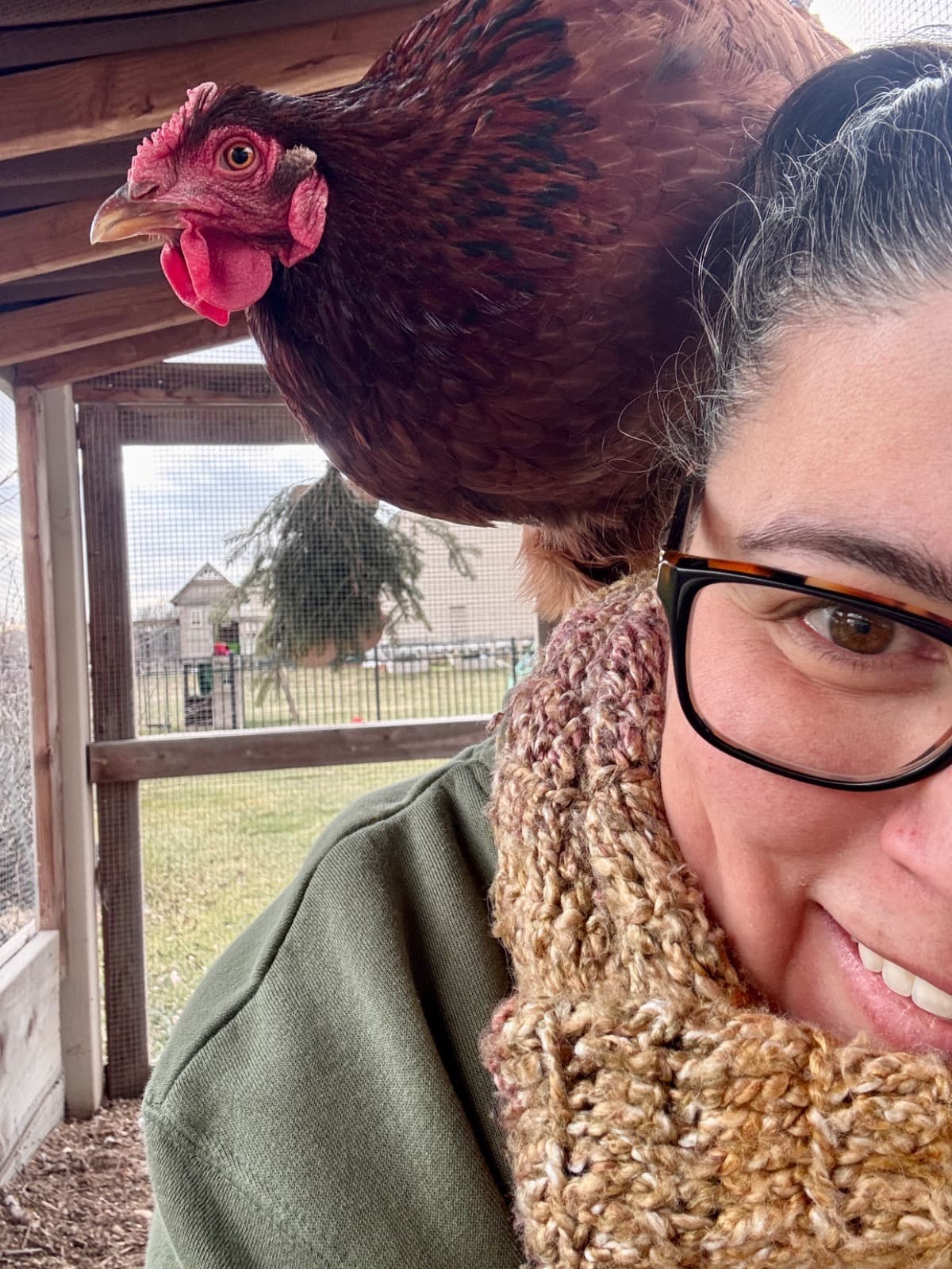 HelpSaveESAChickensInNJ