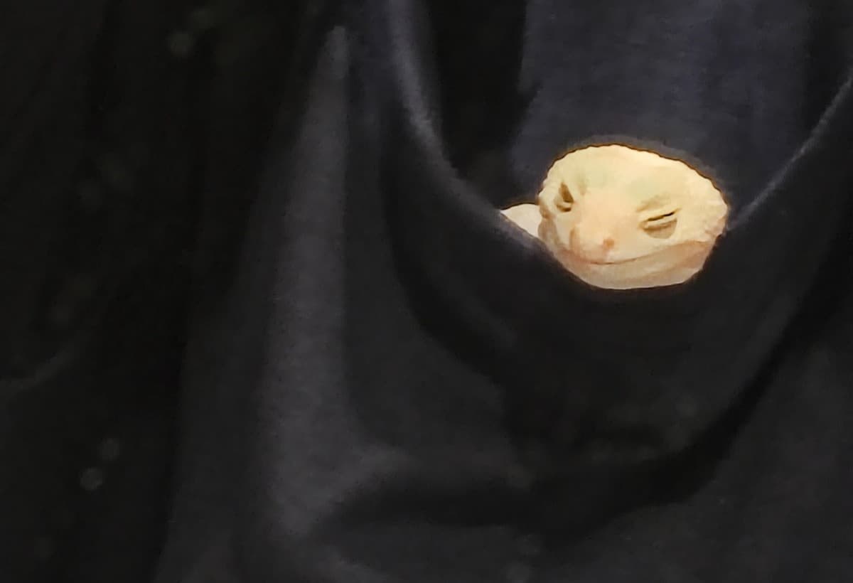 HomelessnessAndCarIssues