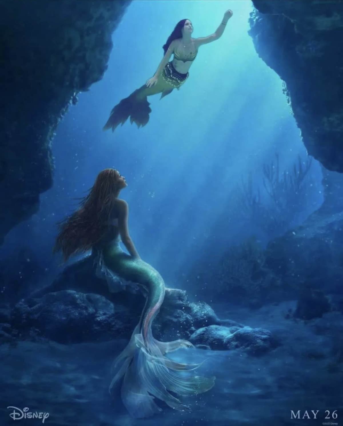 TheLittleMermaidLovesTheReef