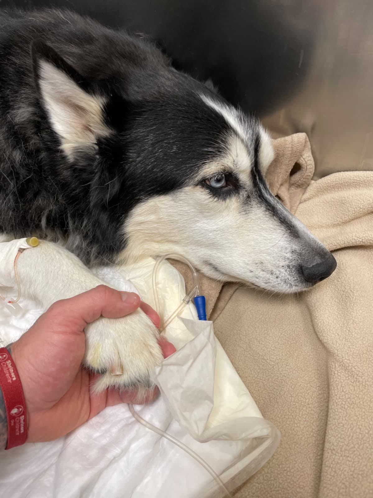 DieselsEmergencySurgery