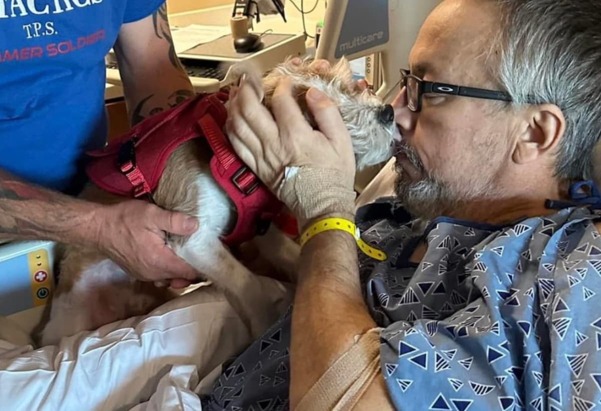 MultipleMyelomaCancer