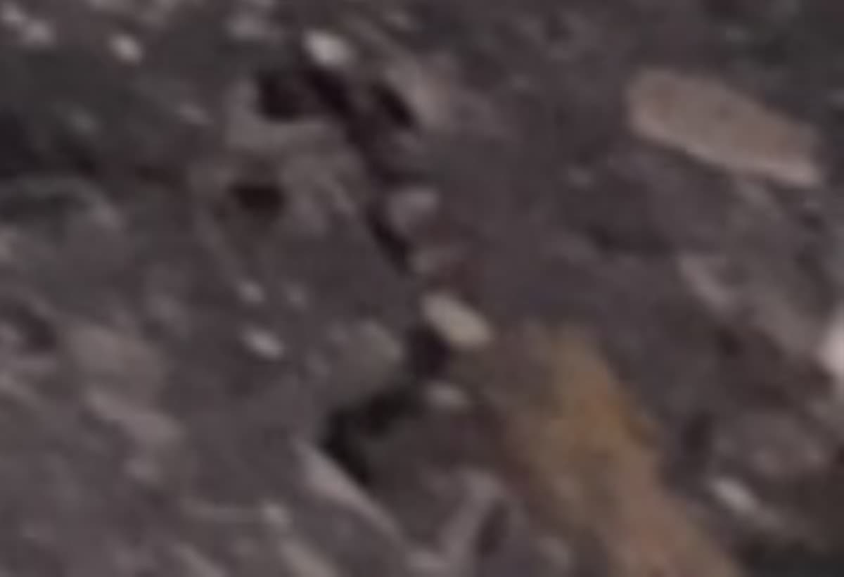 HouseFireTookEverythingJgera