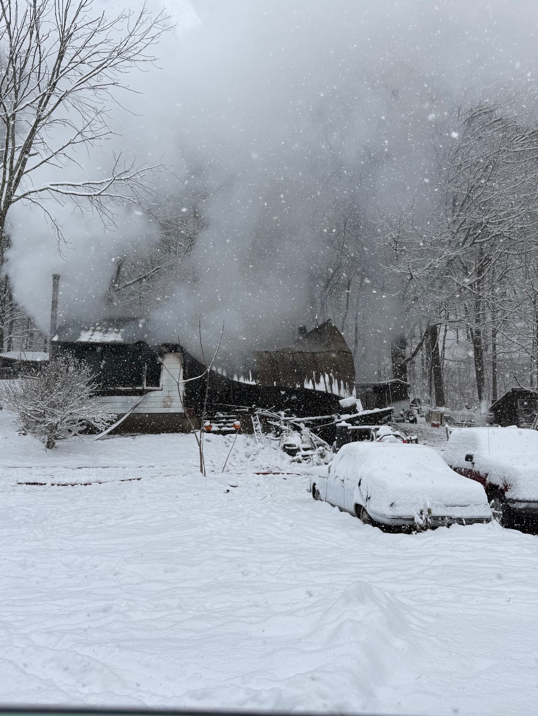 DalesFireRecovery