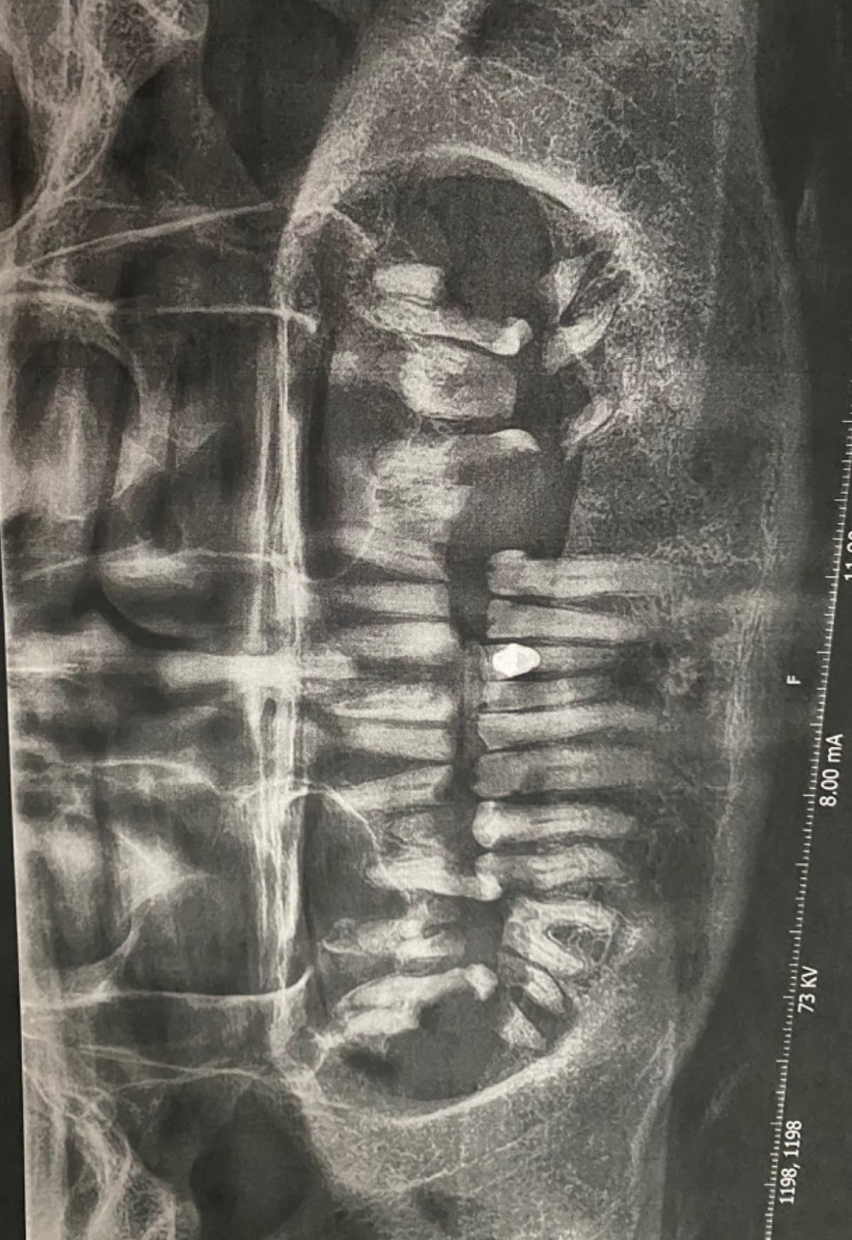 UrgentDentalCareNeeded