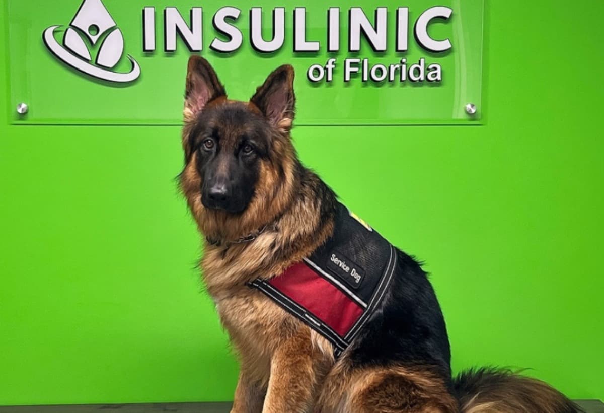 DiabeticAlertDogTypeOne