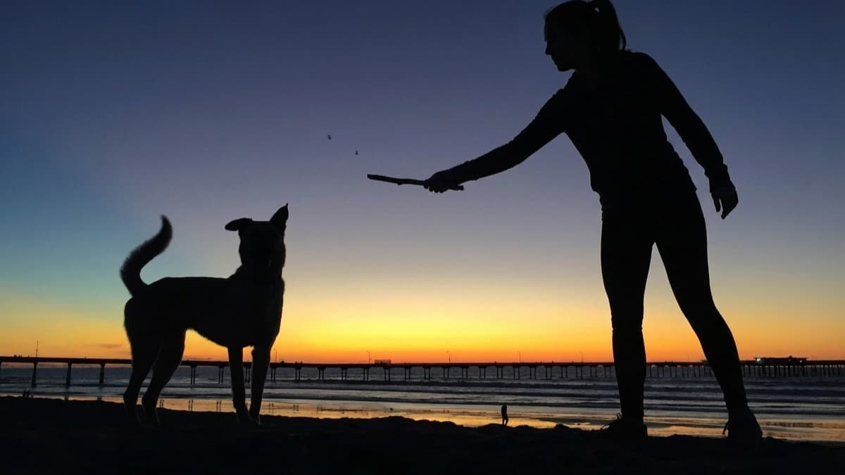 Paya's Place Flood Relief