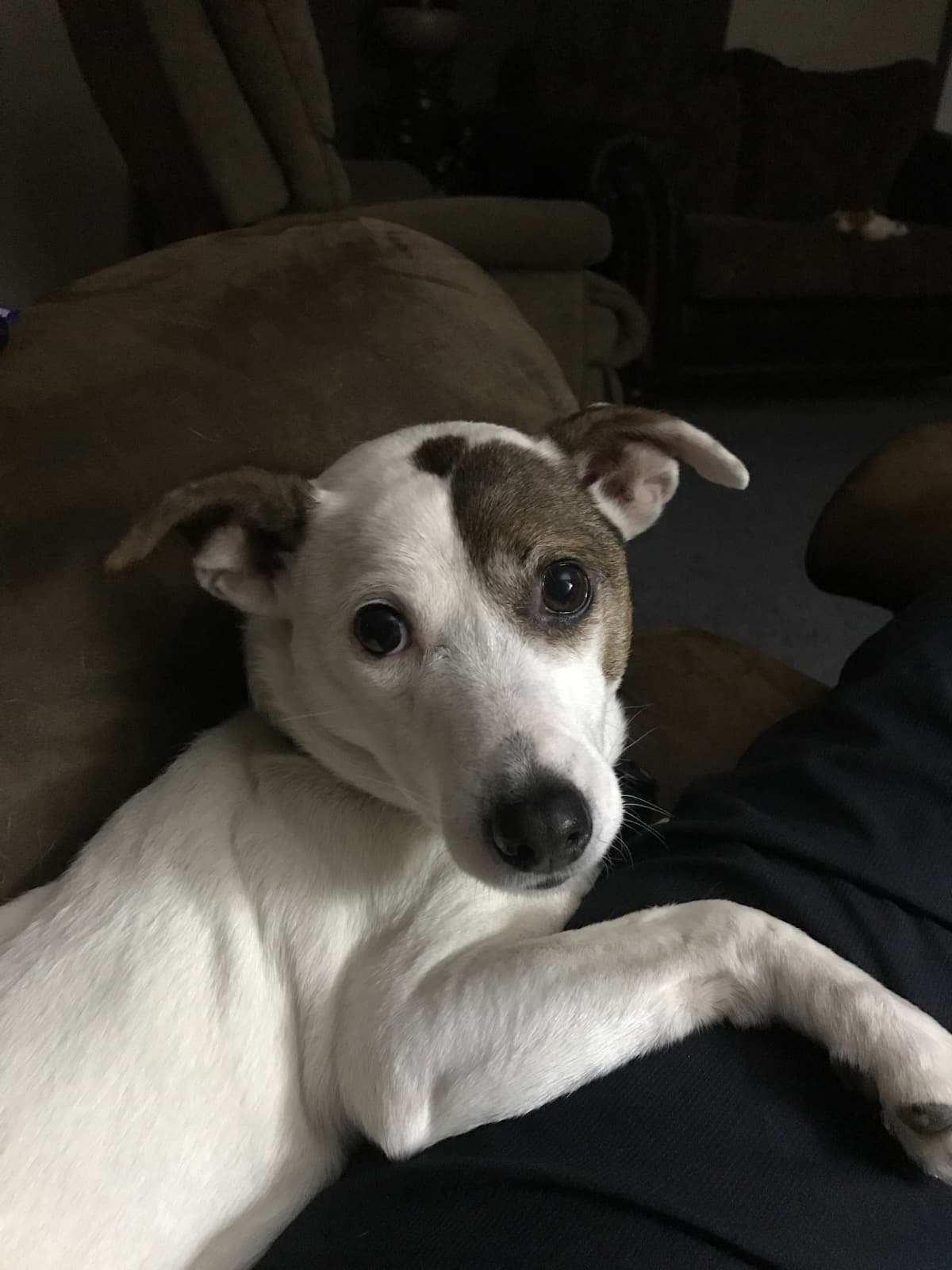 MentalHealthForMeAndMyFamily