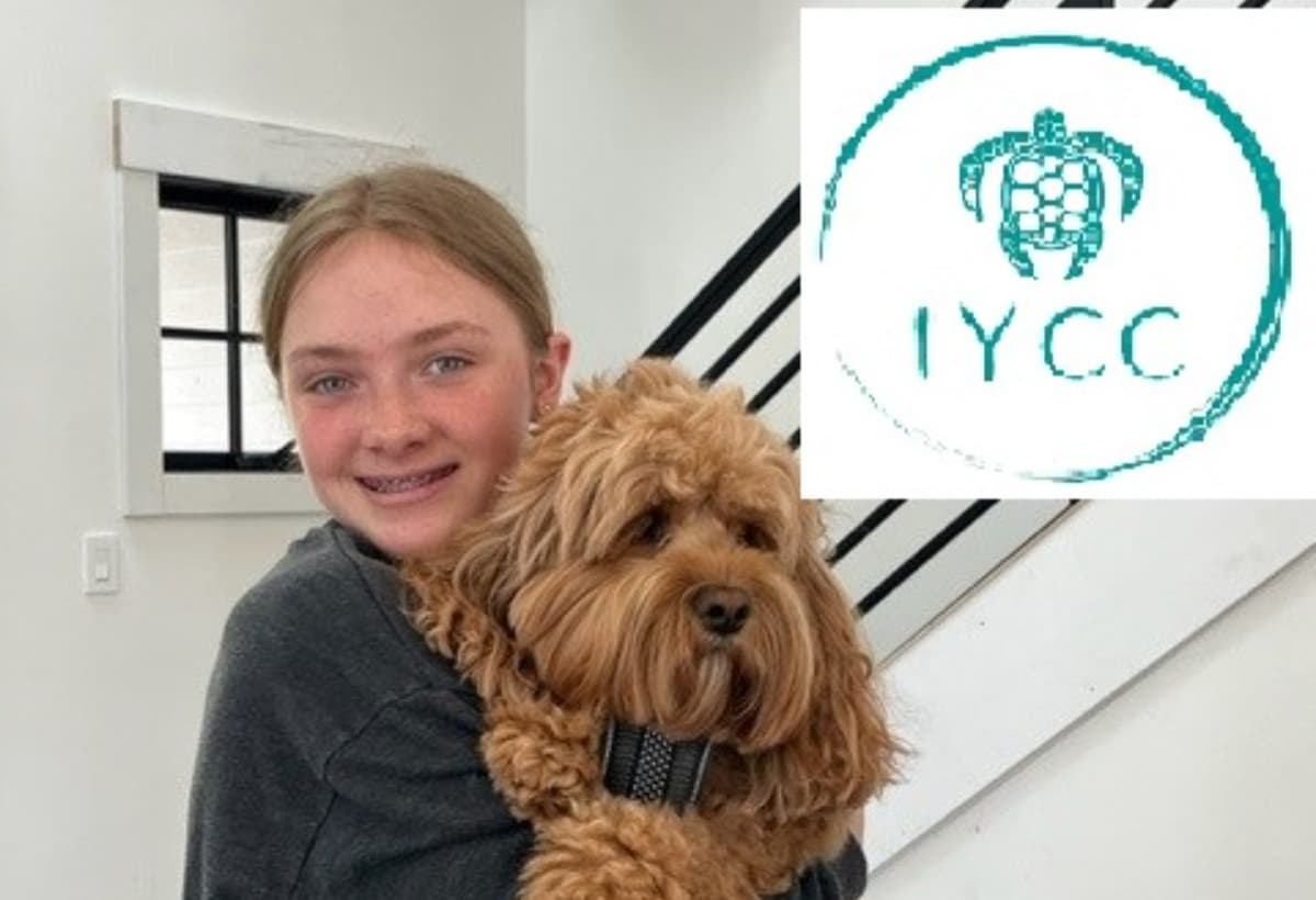 IYCCSeaTurtleProject