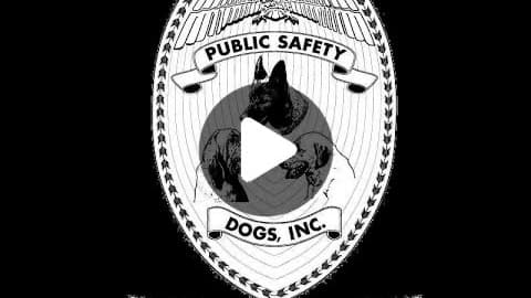 Help Train Lifesaving Search Dogs